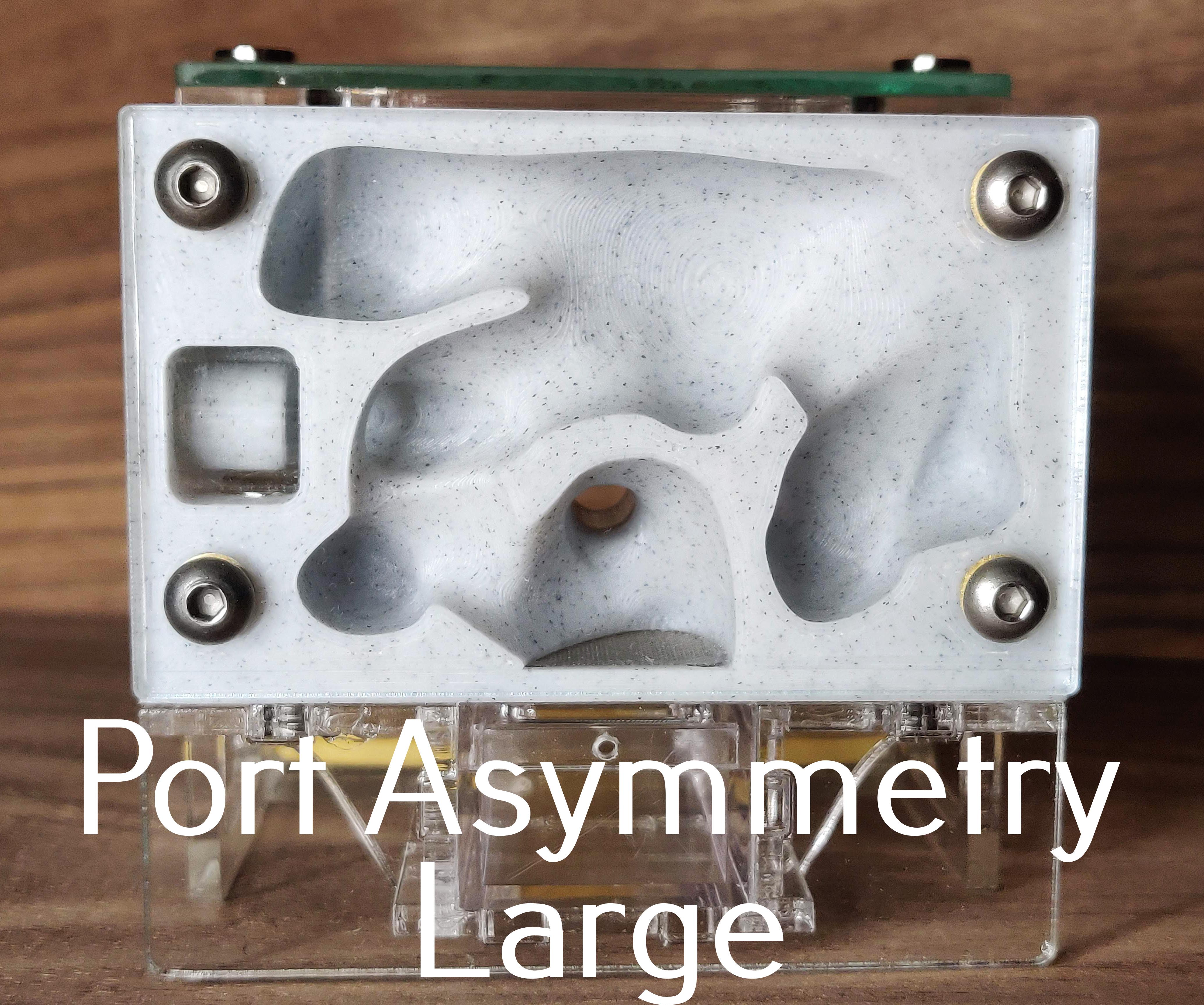 Port Asymmetry Large.jpg