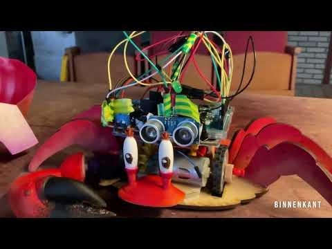 Project ITTT SensitiveCrab