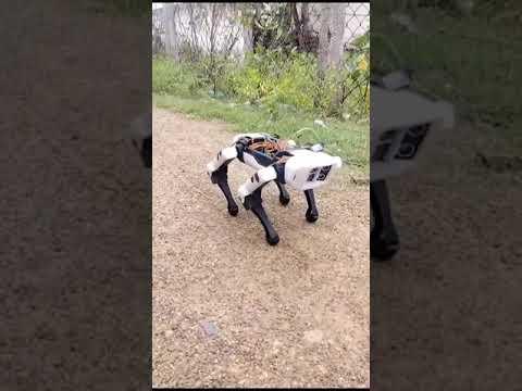 Quadruped Robot - Alpha! ESP32 Based Spot Micro Robot - Outdoor spin!