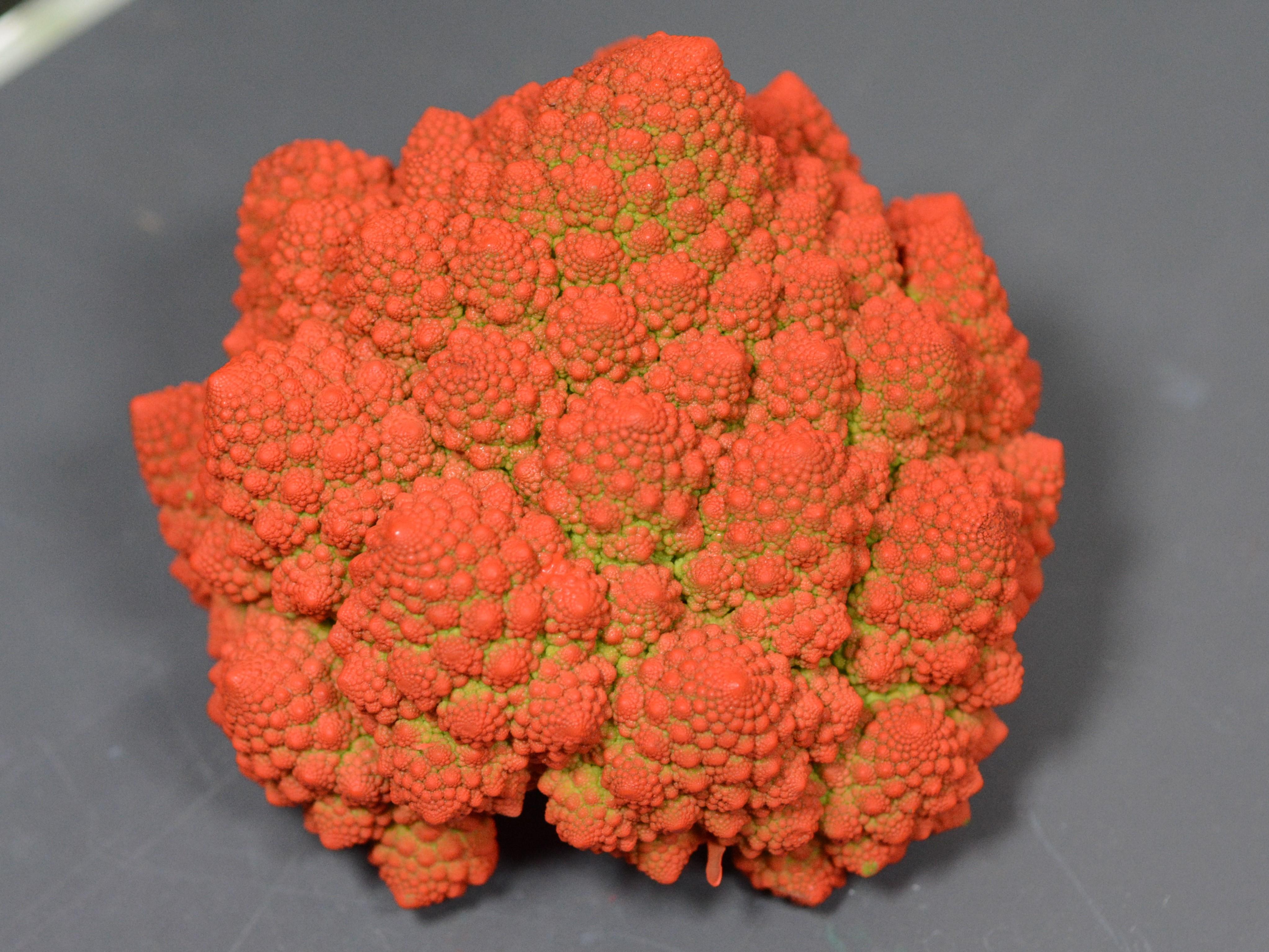 ROMANESCO 1  (4).JPG