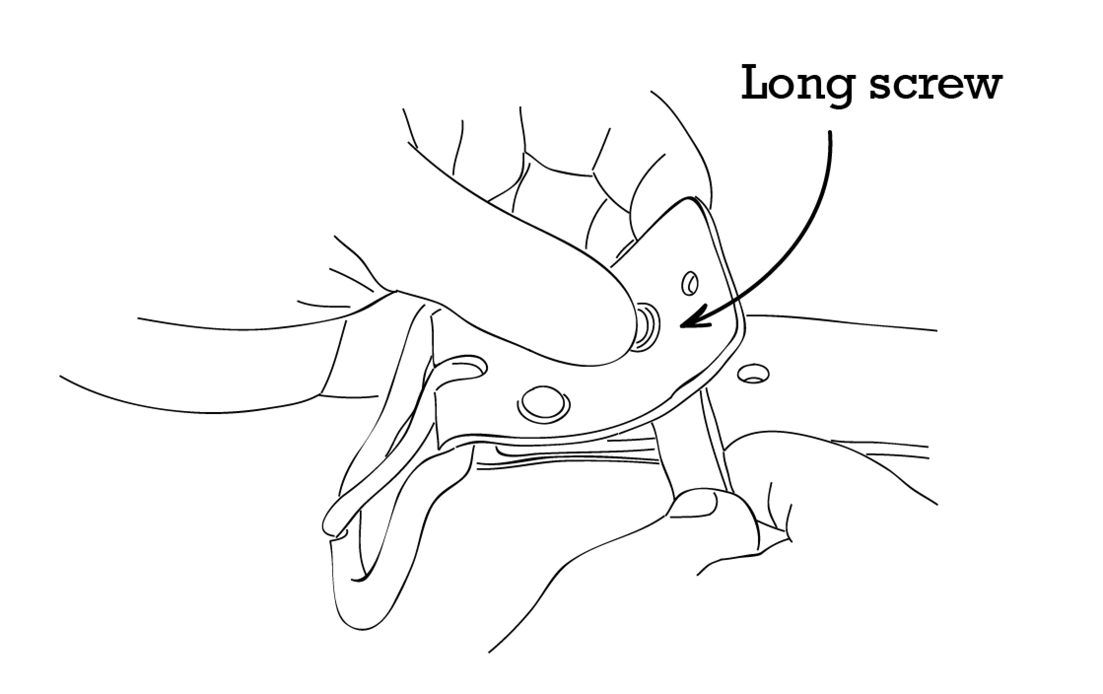 Screen Shot 2017-02-05 at 2.57.43 PM.png