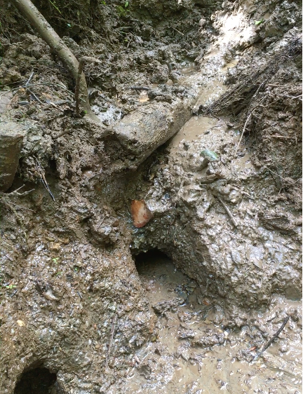 Screen Shot 2017-09-19 at 10.46.34 PM.png