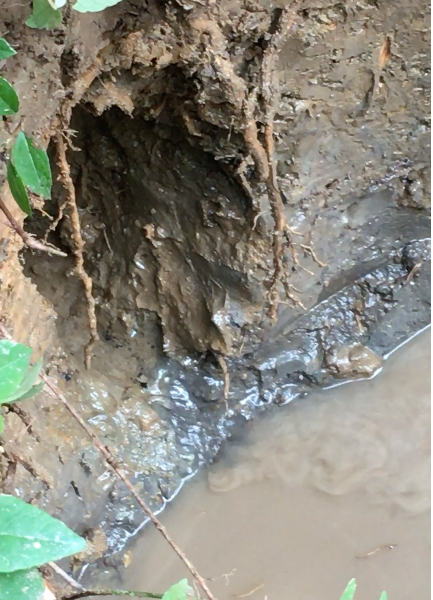 Screen Shot 2017-09-19 at 10.48.54 PM.png