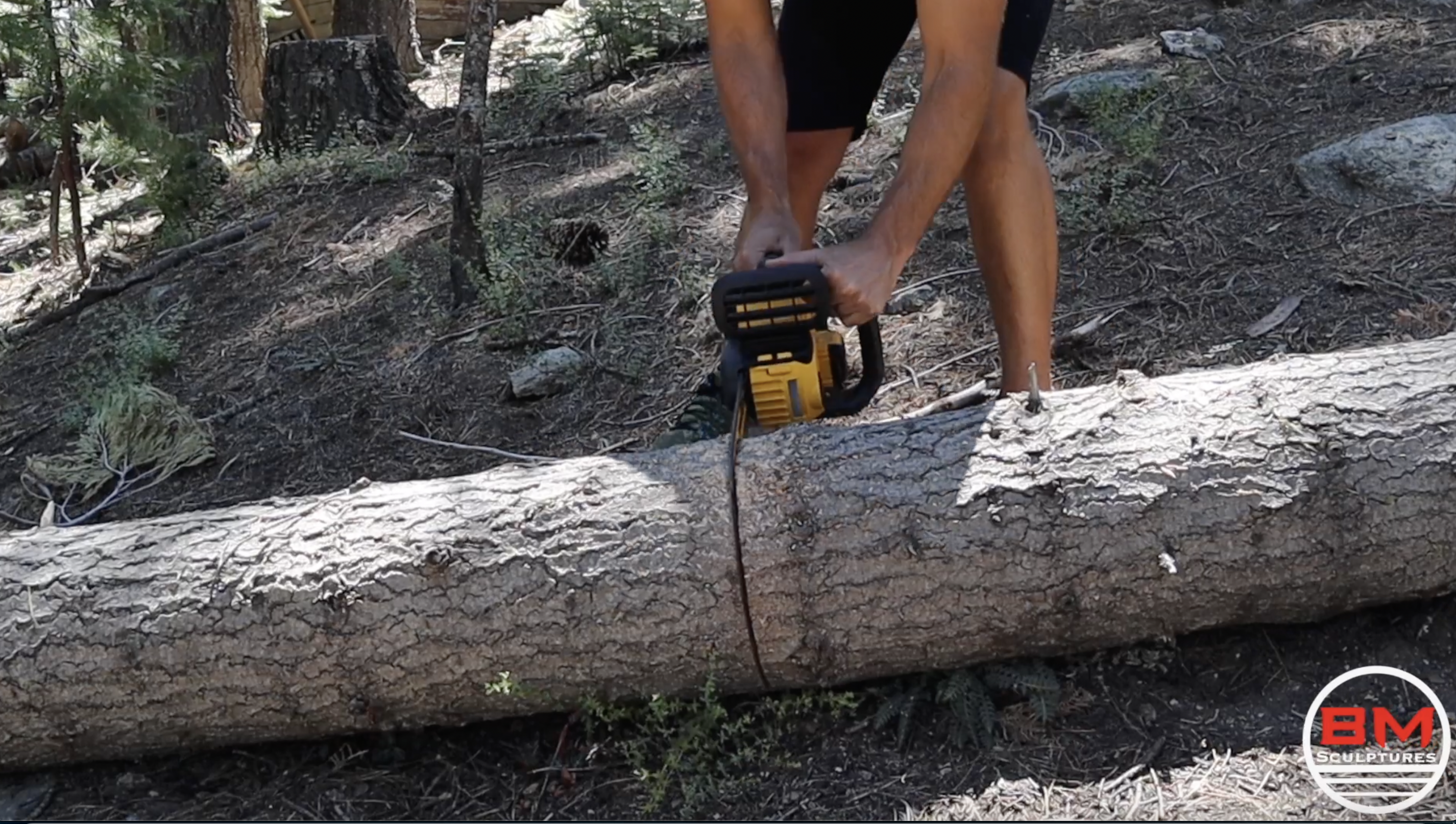 Screen Shot 2021-07-20 at 10.14.52 AM.png