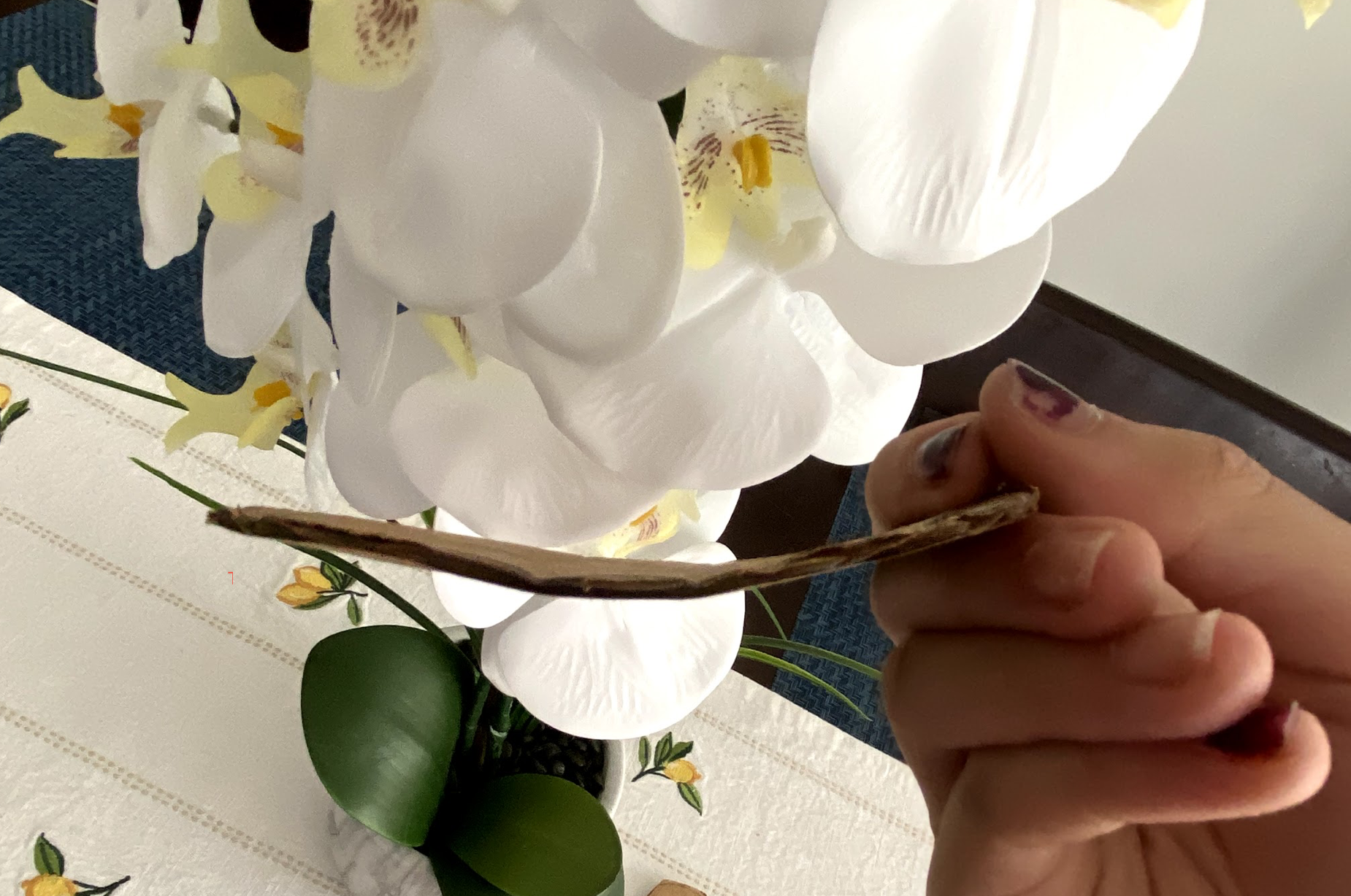 Screen Shot 2021-07-26 at 9.10.51 PM.png