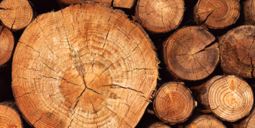 Screen Shot 2023-06-19 at 6.22.59 PM.png