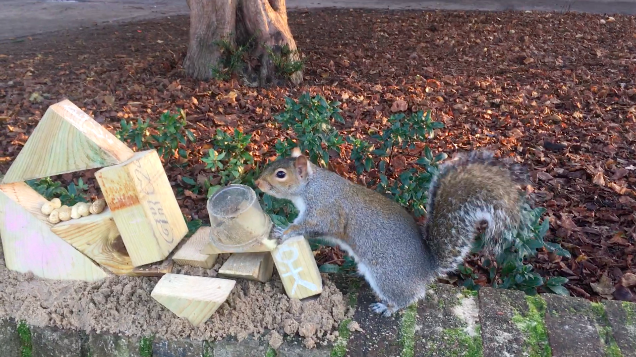 Screenshot 2020-06-20 at 11.10.26.png