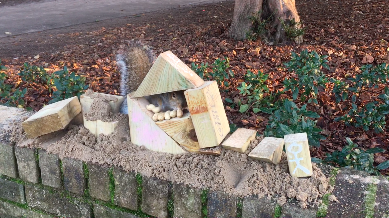 Screenshot 2020-06-20 at 11.10.59.png