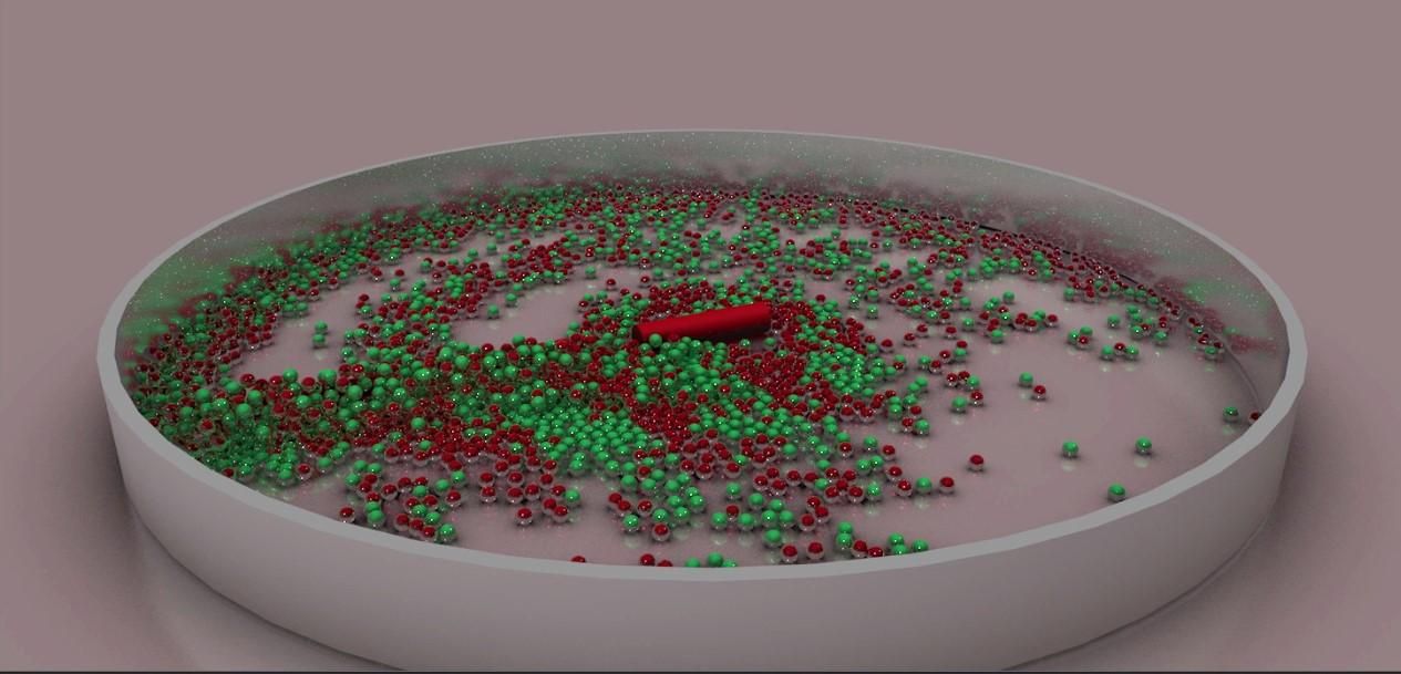 Screenshot 2023-12-25 210135.jpg