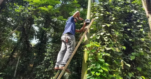 Screenshot 2026-02-03 114942.png