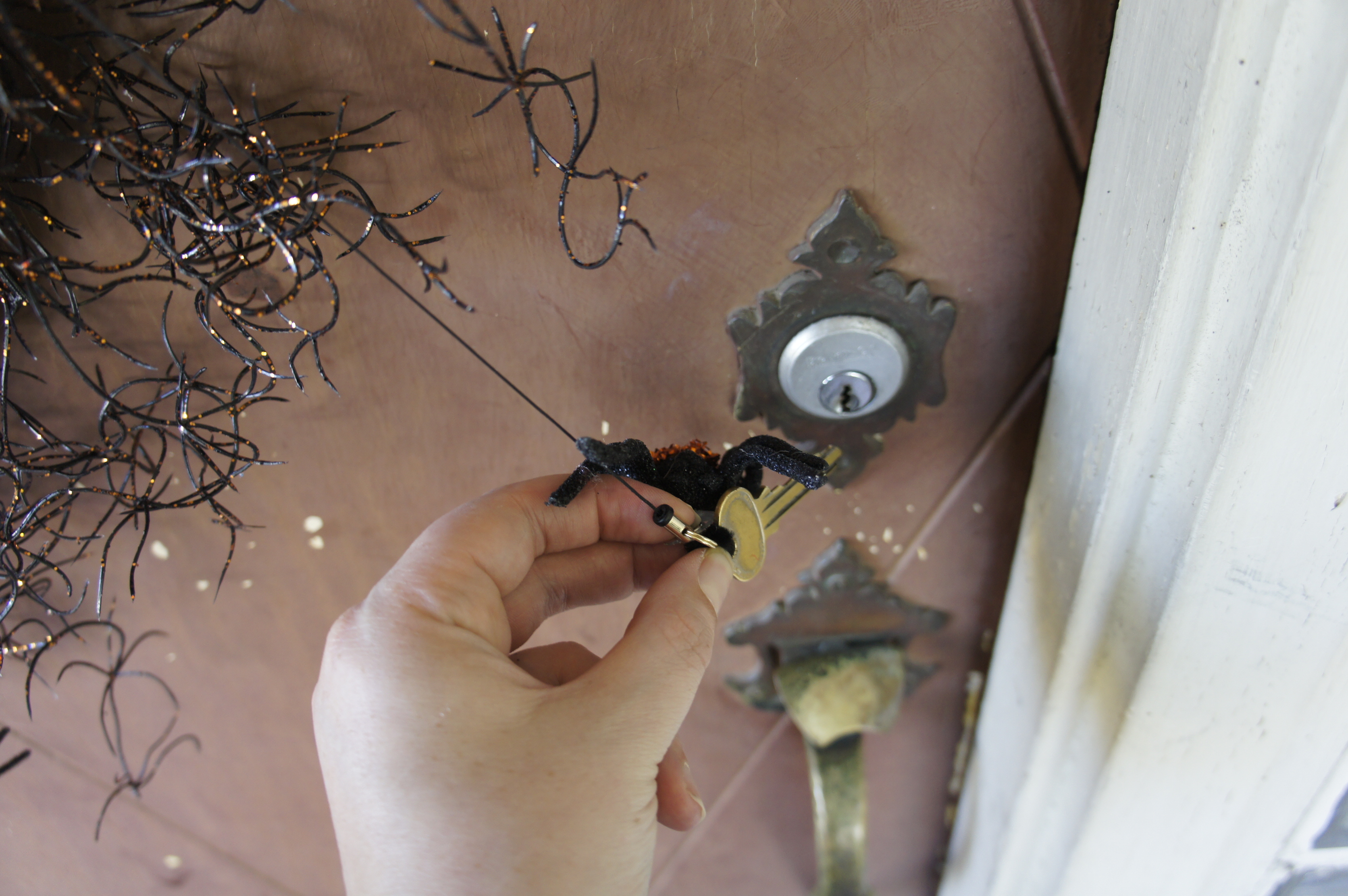 Step #16_DSC8786.JPG