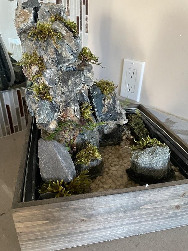 Step8-IntoPlanter (3).jpg