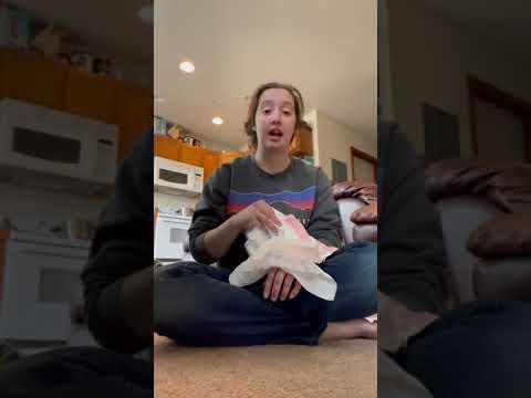 Summer Capsule Wardrobe (Toddler Boys)