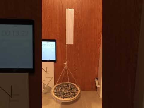 Swinging a Pie from a Pendulum to Calculate Pi!