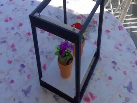 Synchronized Solar Flowers