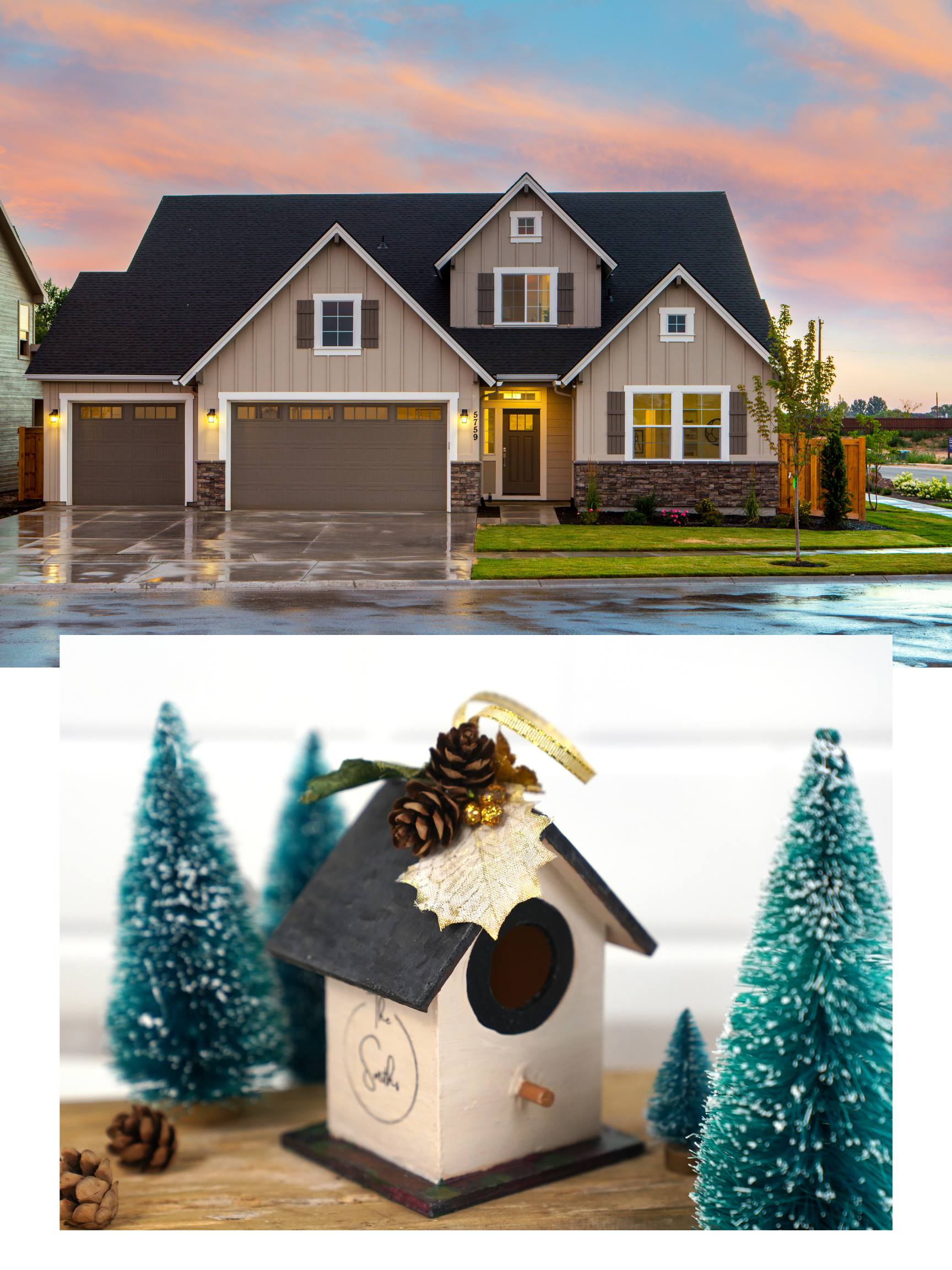 Untitled design (8).png