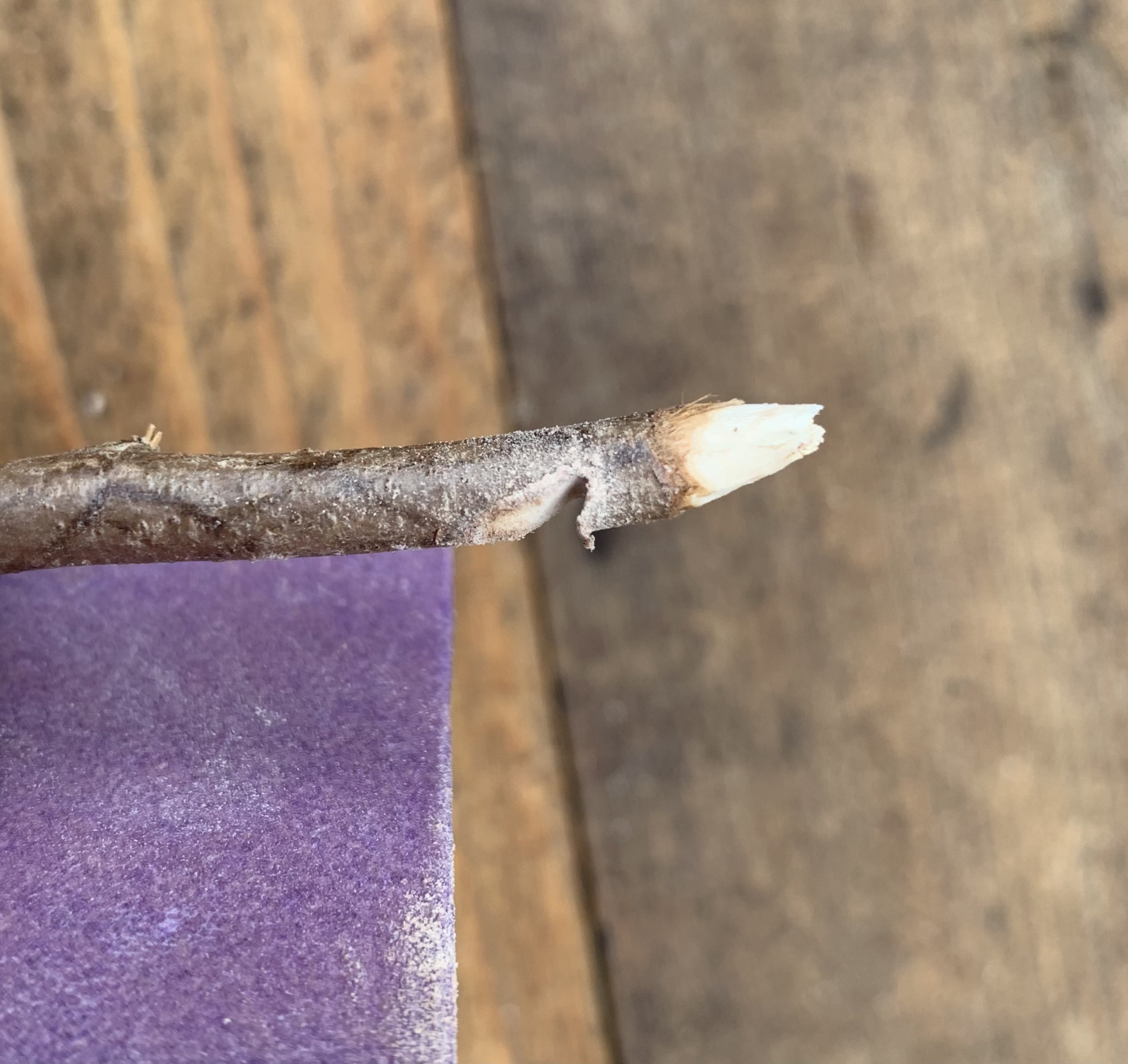 View recent photos 8.png