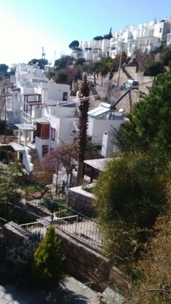 WhatsApp Image 2017-02-07 at 23.06.54.jpeg