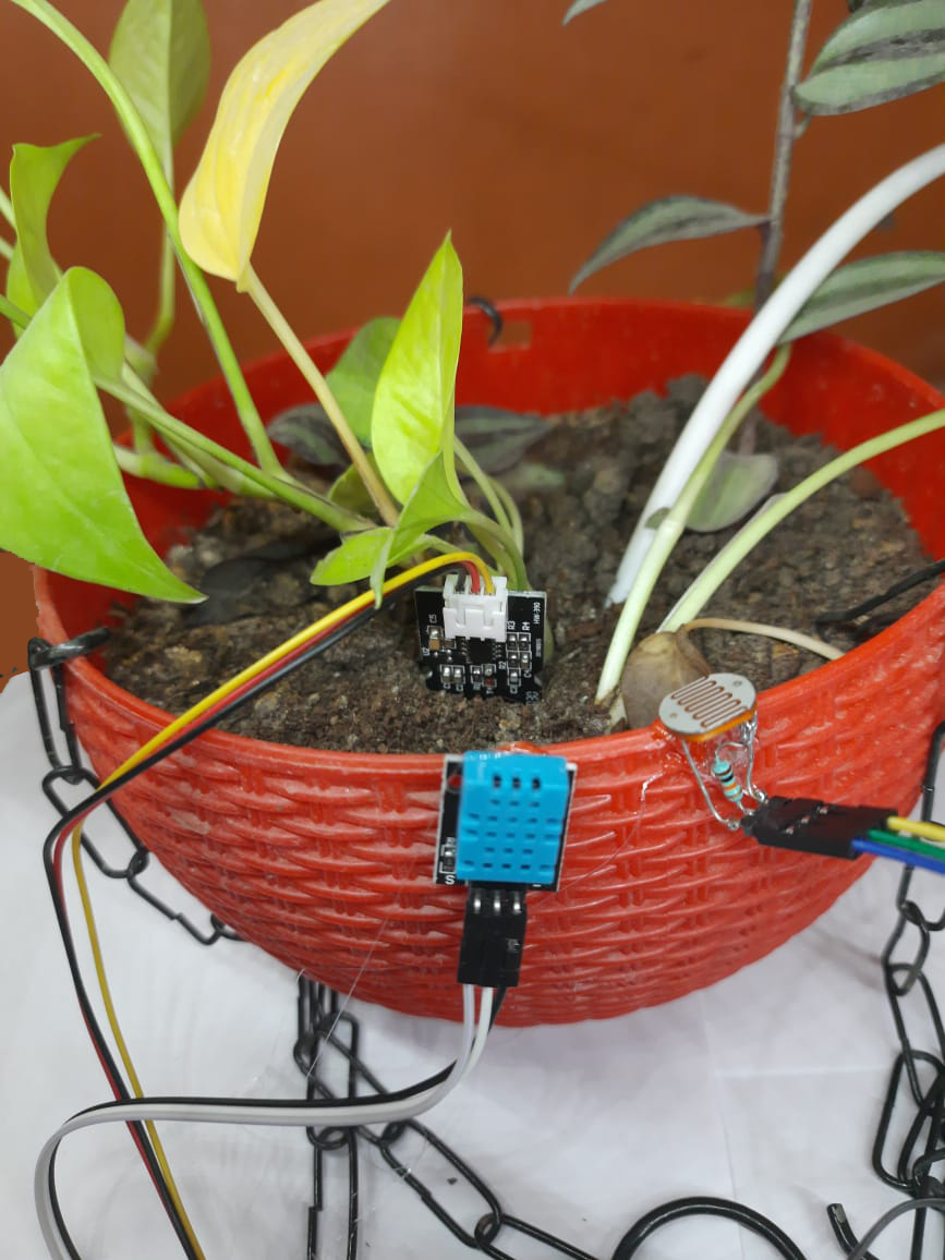 WhatsApp Image 2021-04-26 at 7.33.10 PM.png