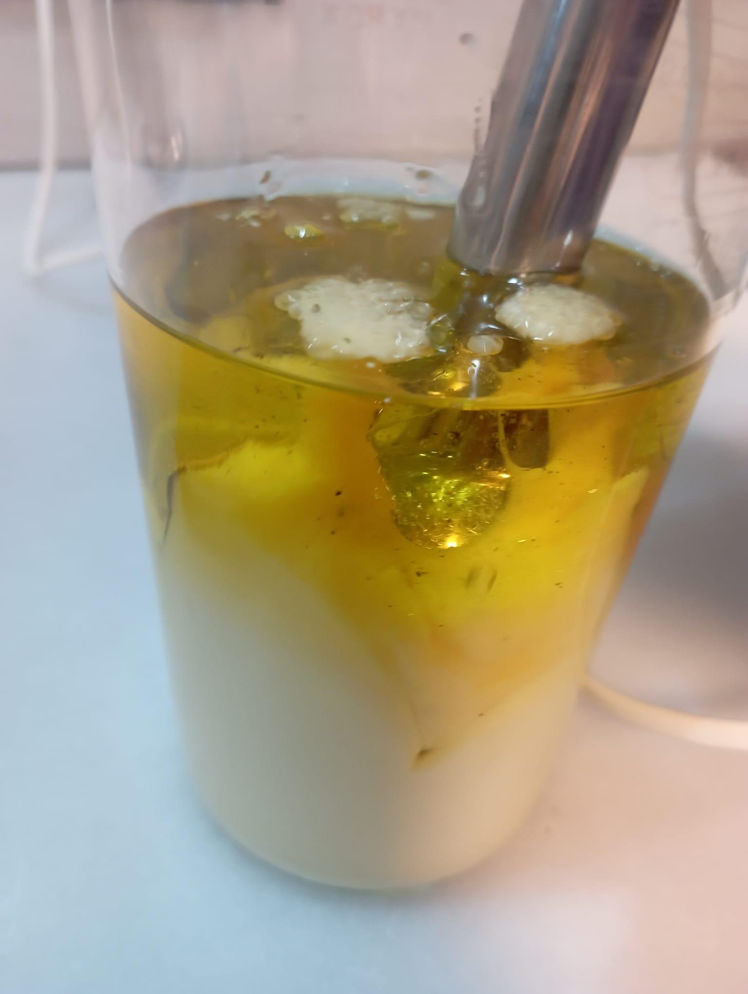 WhatsApp Image 2022-10-09 at 16.35.42.jpeg