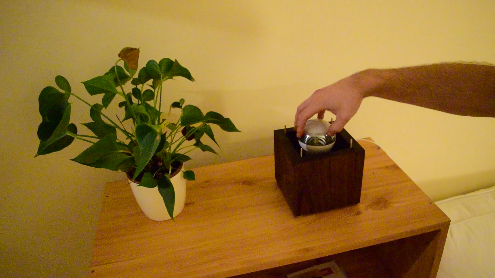 Wood Veneer Lamp_freeze71.bmp