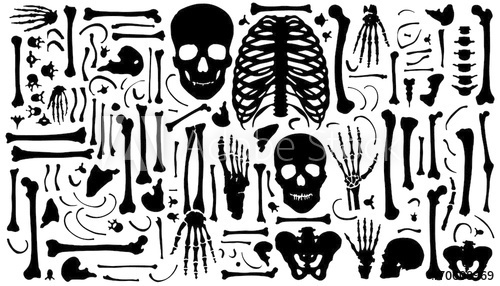 bone silouhette.jpg