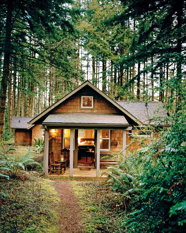 cottage in forest.jpeg