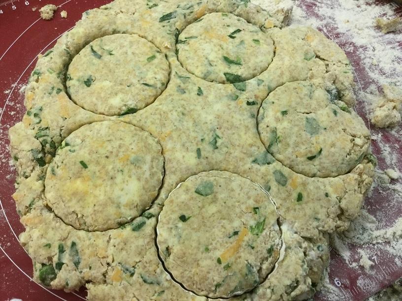 cut scones dough.jpg