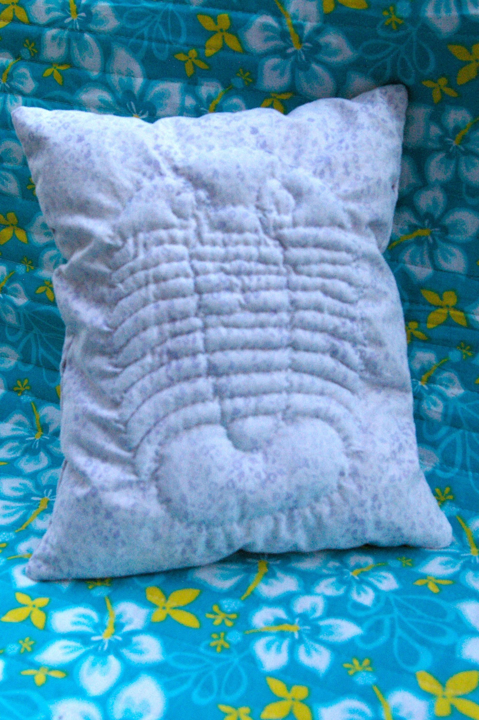 finished trapunto trilobite pillow rotated upright.jpg