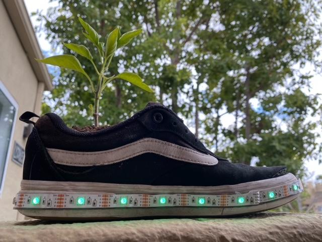 image2 - Copy (3).jpeg