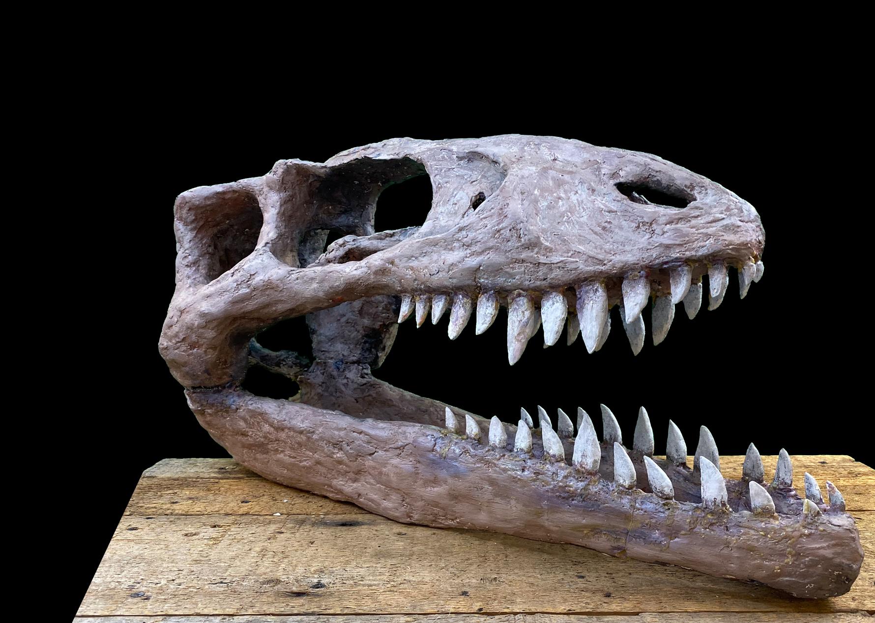 instructable title pic copy.jpg