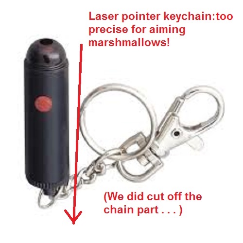 laserpointer.jpg