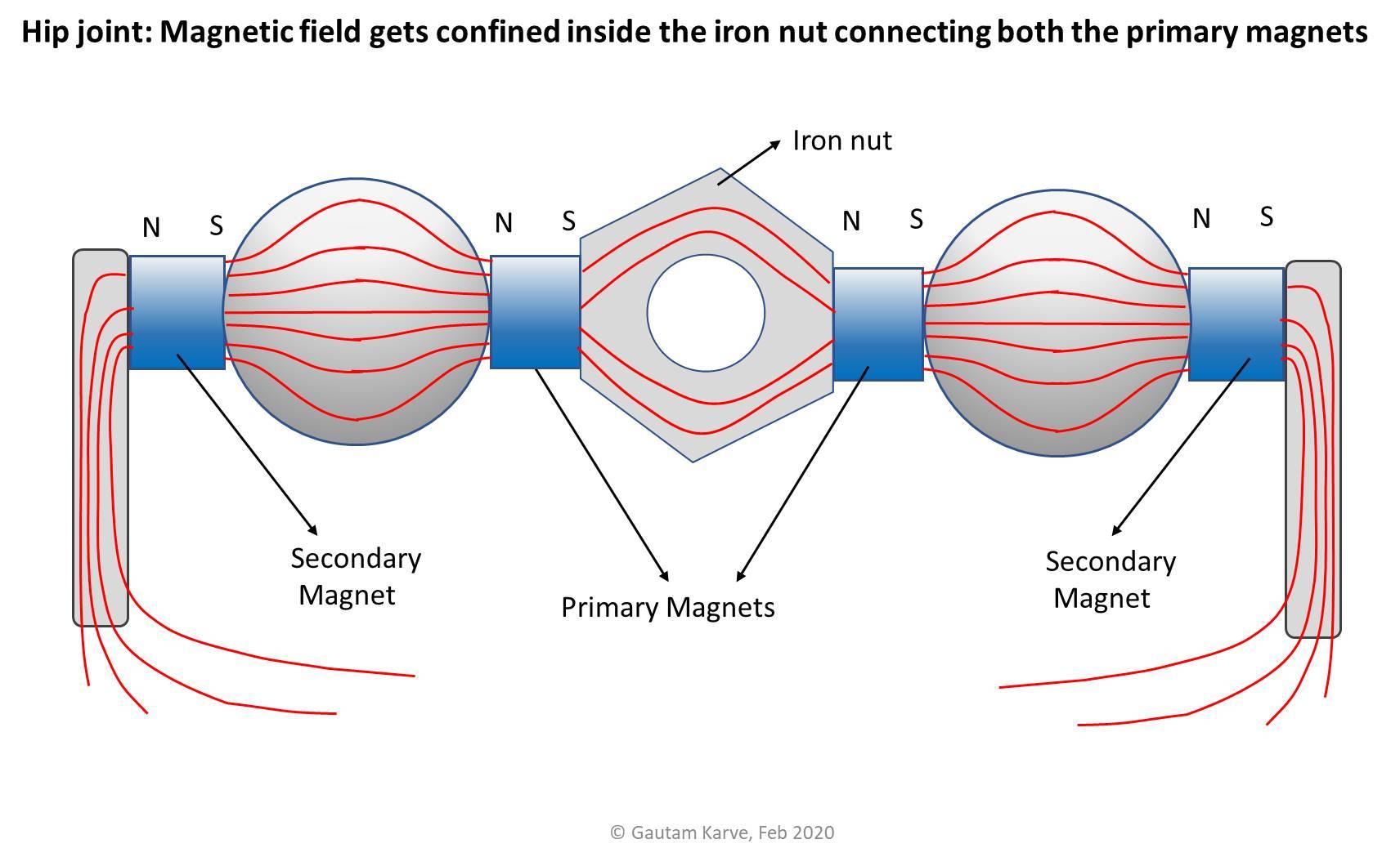 magnetic field lines in hip joint.jpg