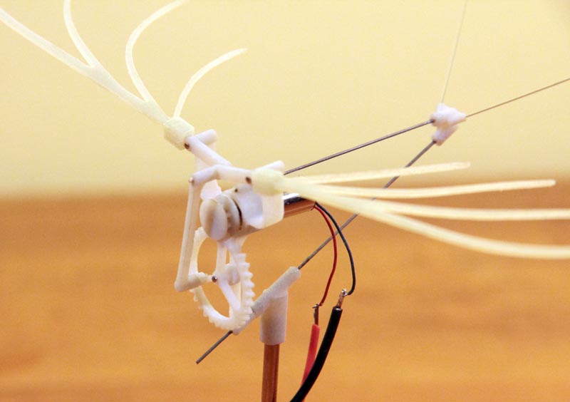 ornithopterv2 - pic2.jpg