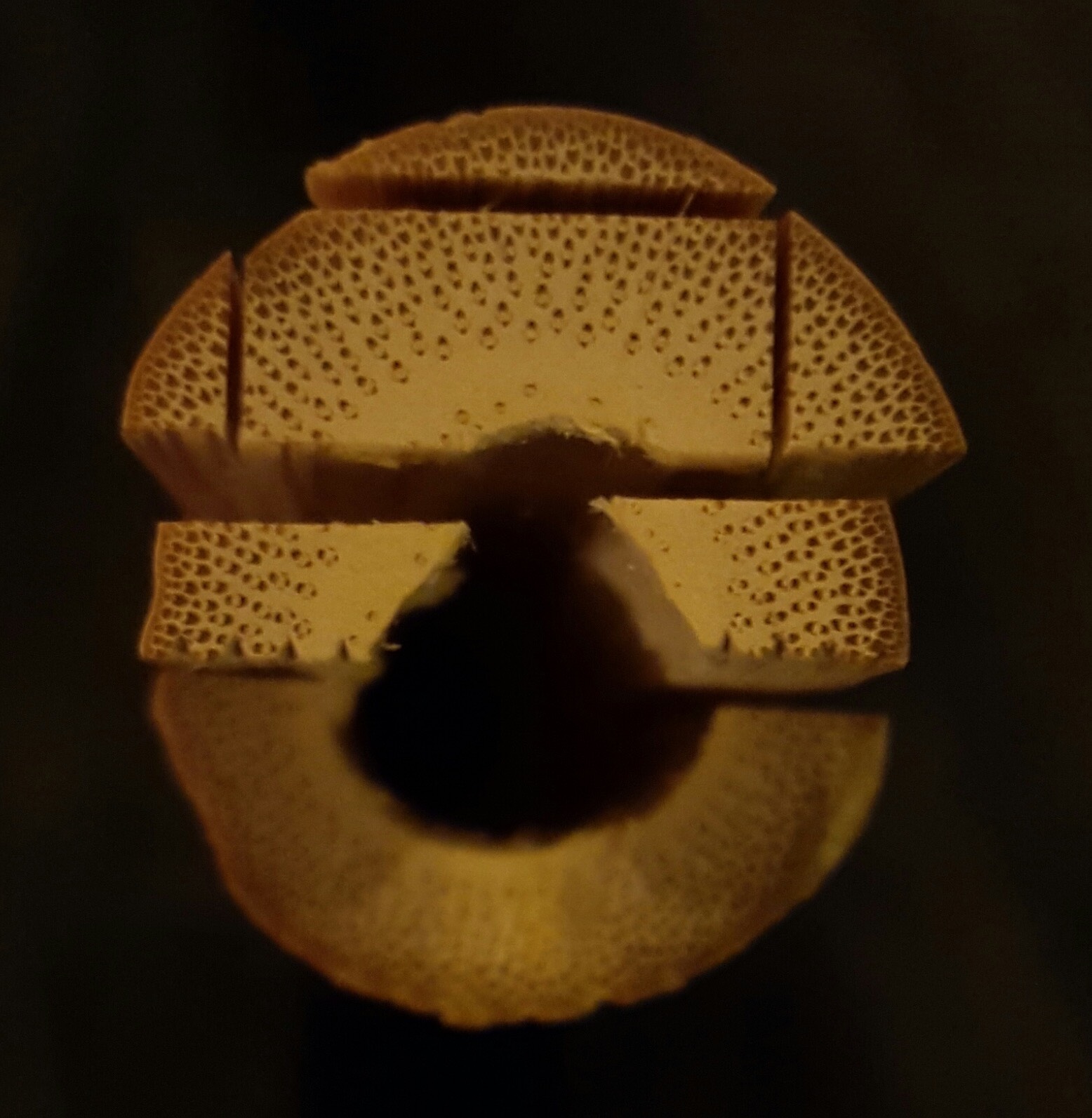 photo-07-01-16 22:59.jpg