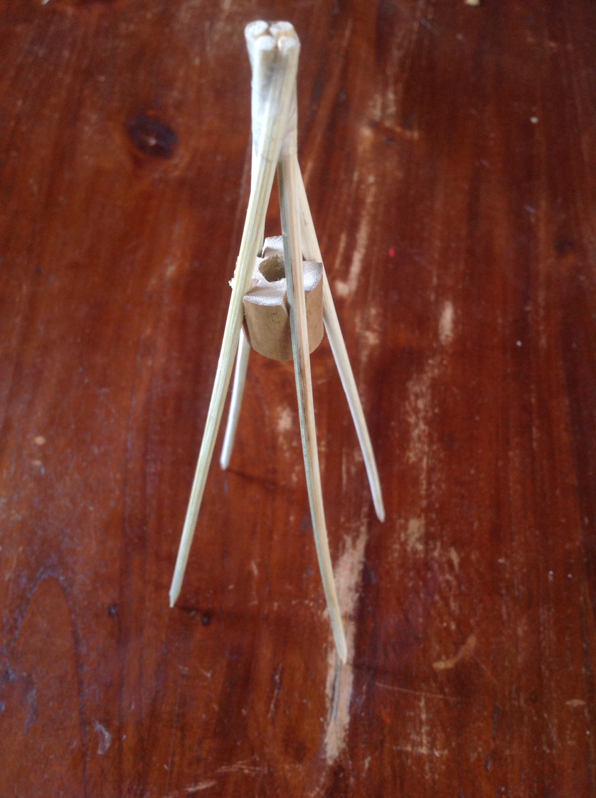 photo-14-01-16 18:06.jpg