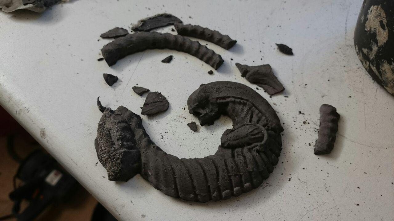 photo_2019-07-22_06-26-19 (2).jpg