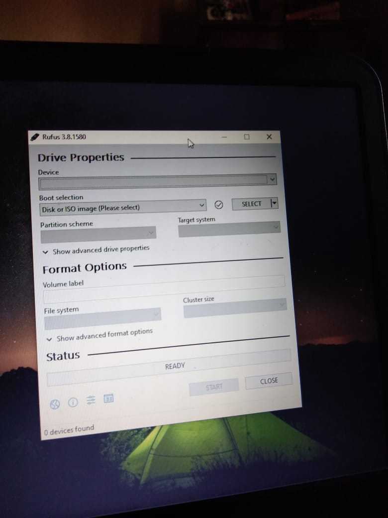 rufus.jpeg