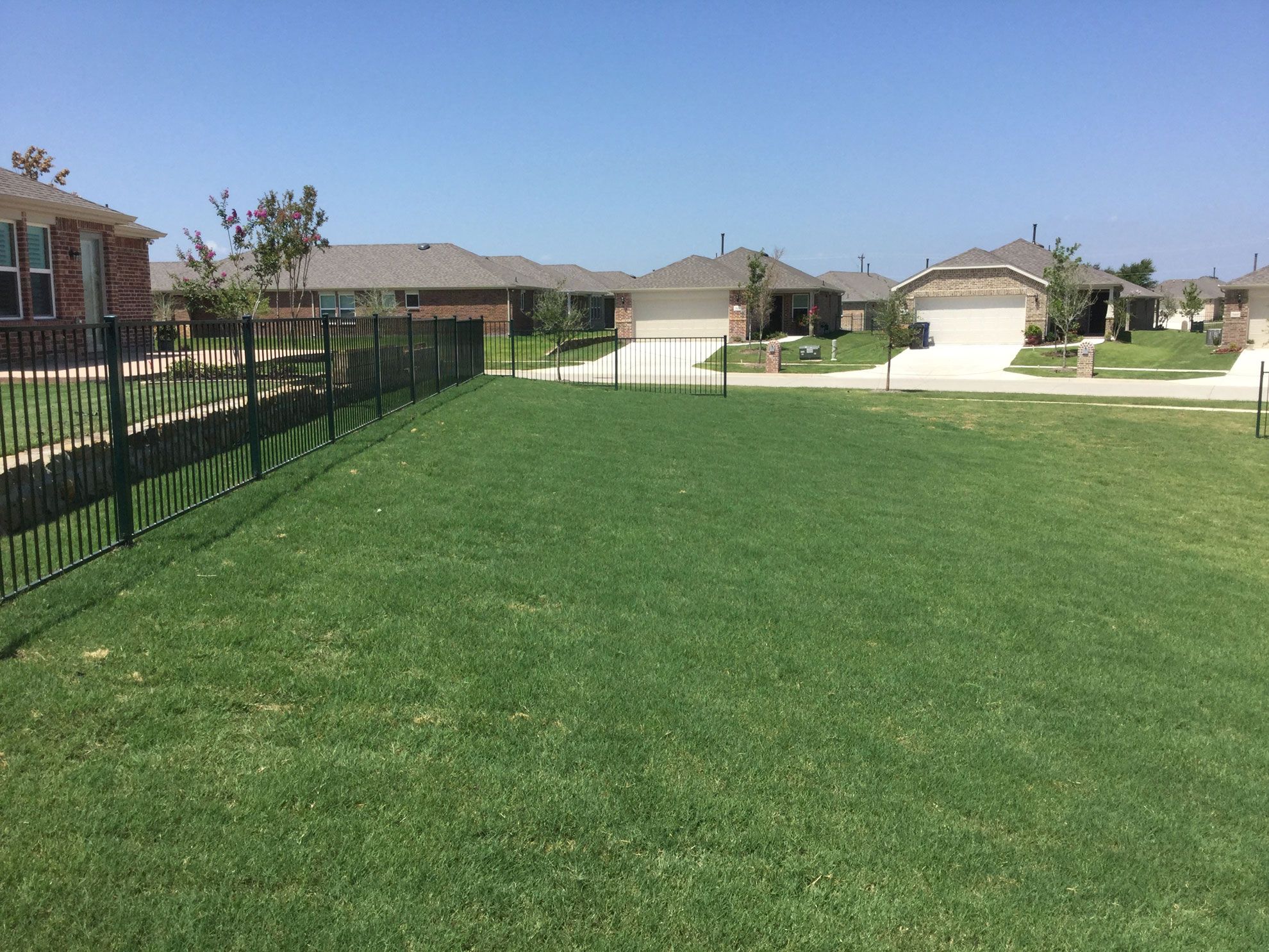 see my lawn no privacy.jpg