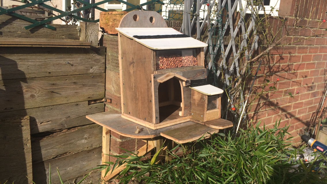 squirrel house 026.PNG