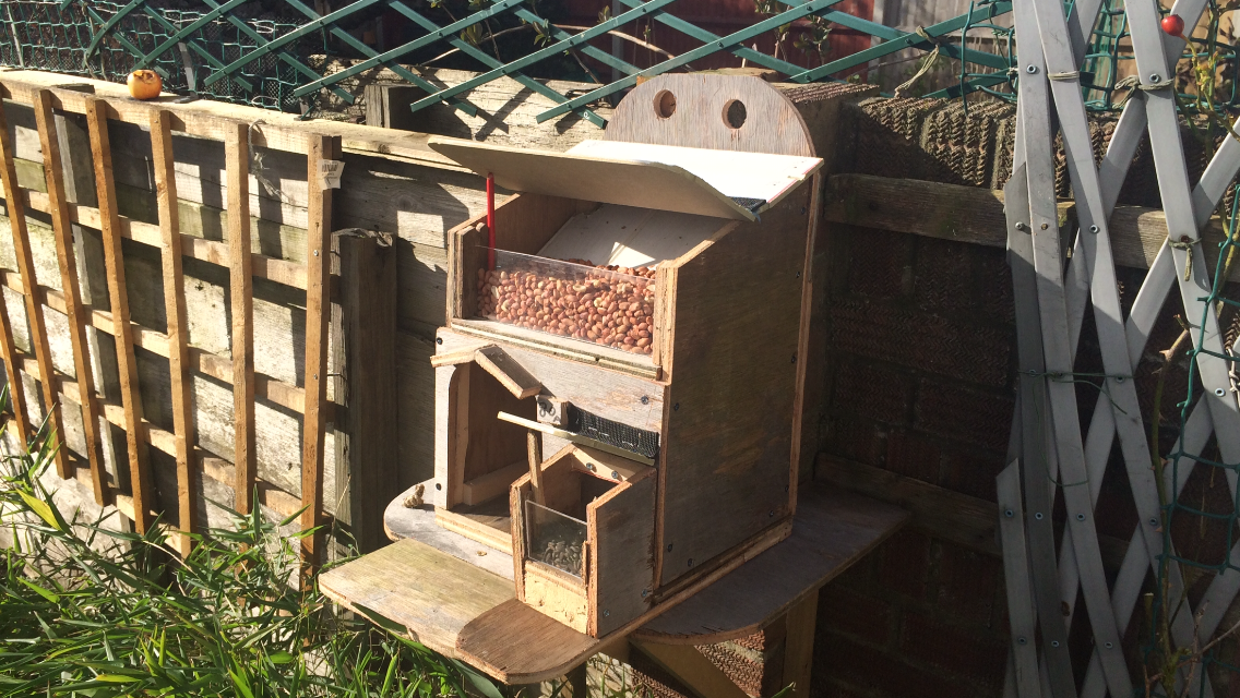 squirrel house 027.PNG