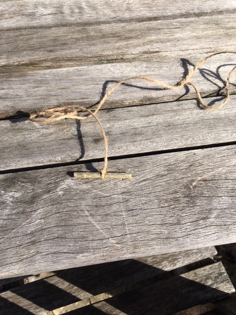 string with stick attatched.jpeg