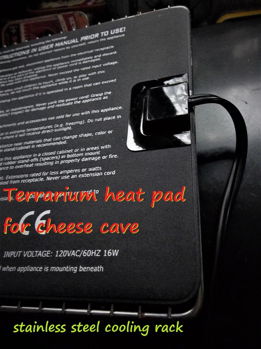 sunflower  cheese incubator.JPG