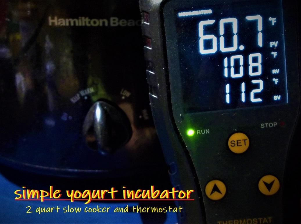sunflower yogurt incubator.JPG