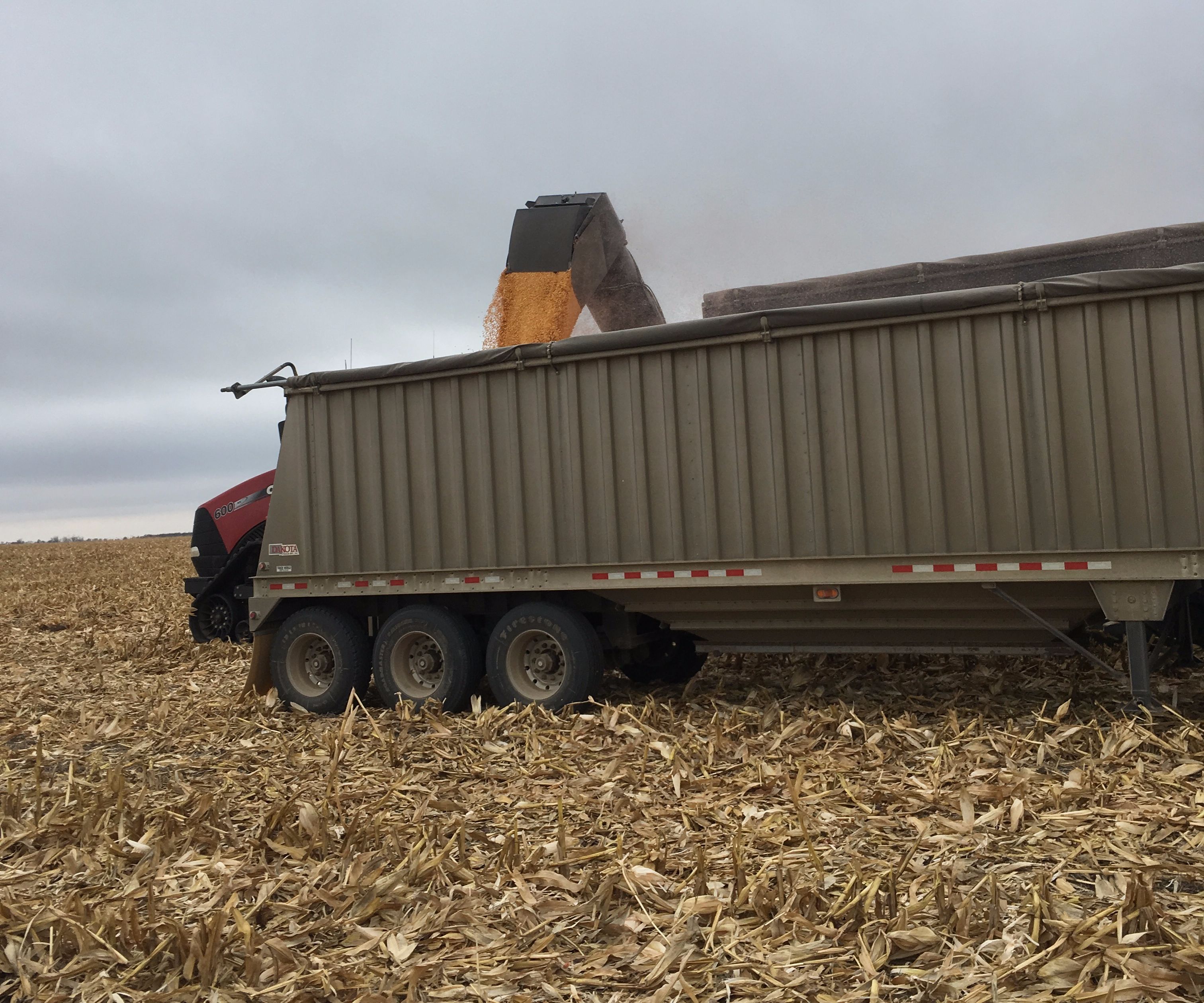 Grain Cart to Trailer