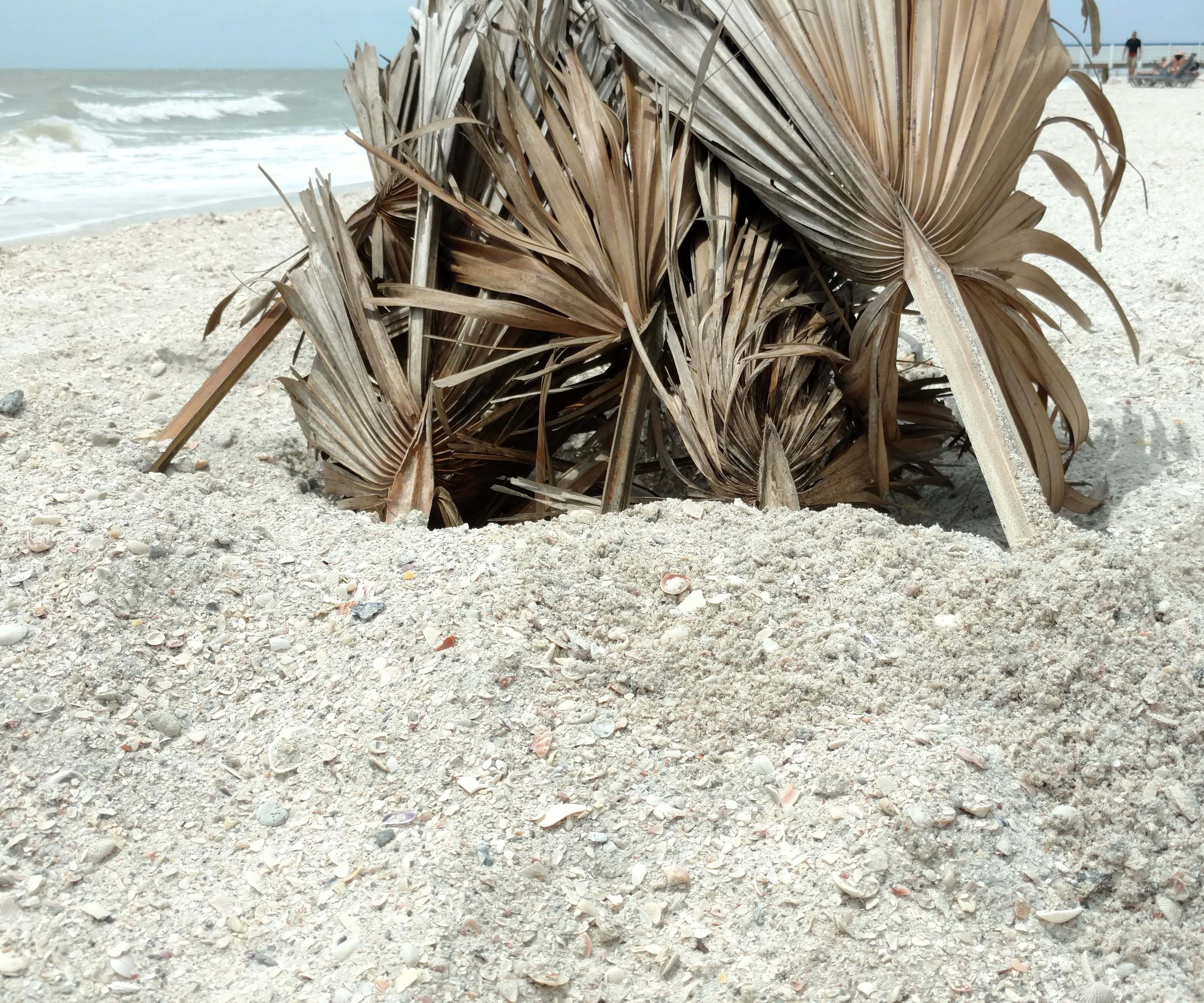 Natural Beach Sunshade