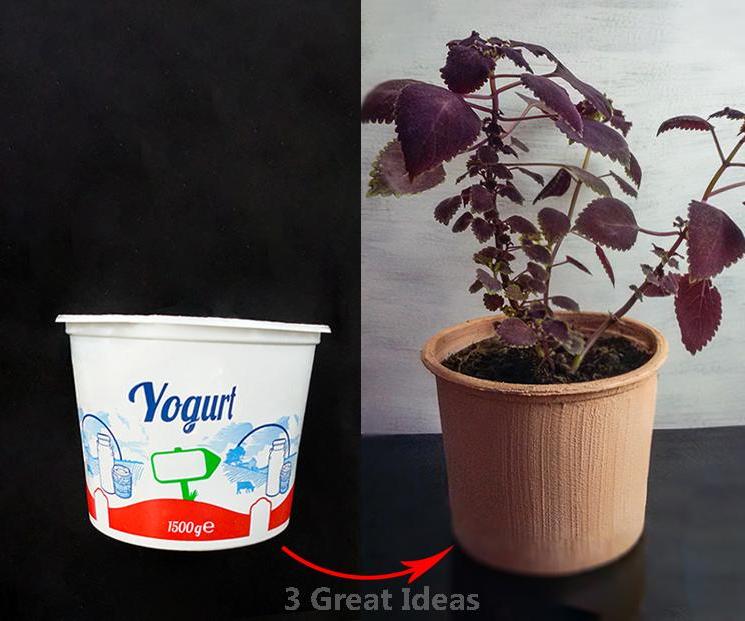 Clay Pot With Plastic Yoghurt Container, Recycle Project