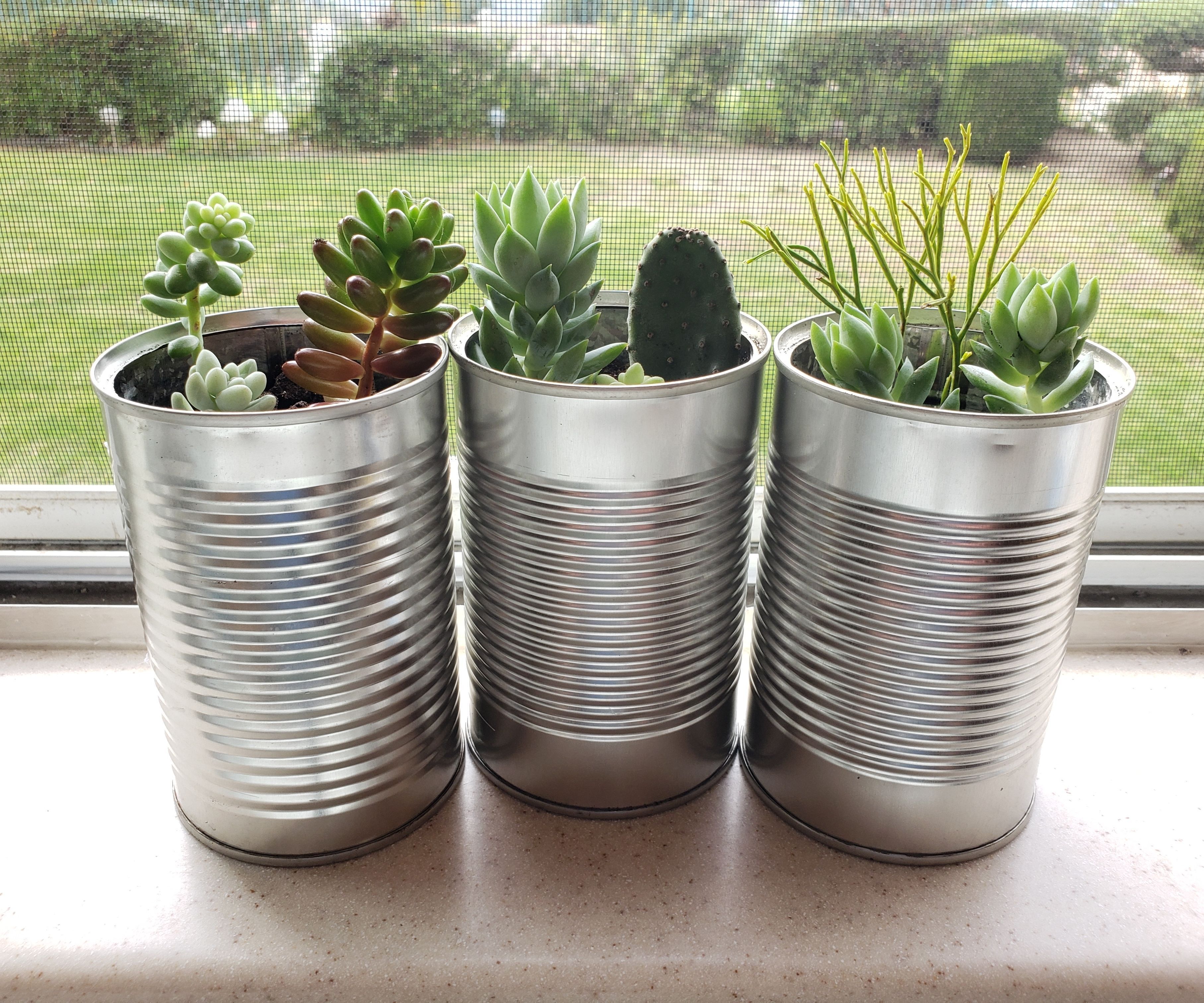 Upcycled Succulent Planters - Trash to Treasure