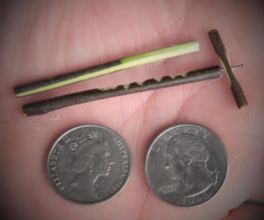 Tiny Gee Haw Whimmy Diddle