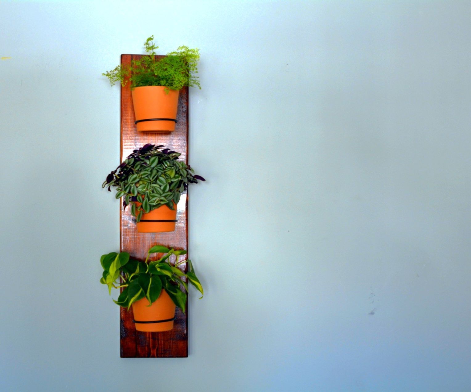 Floating Plant Hanger